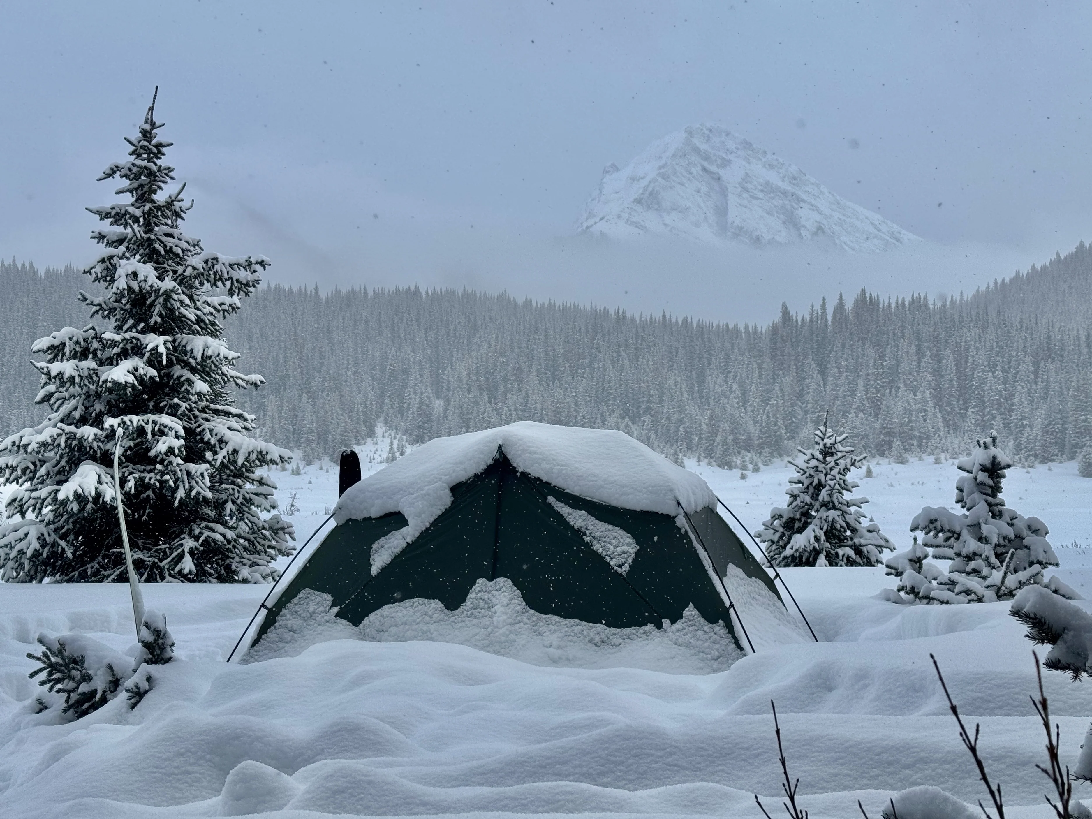 X-Dome 1+ - Image 15